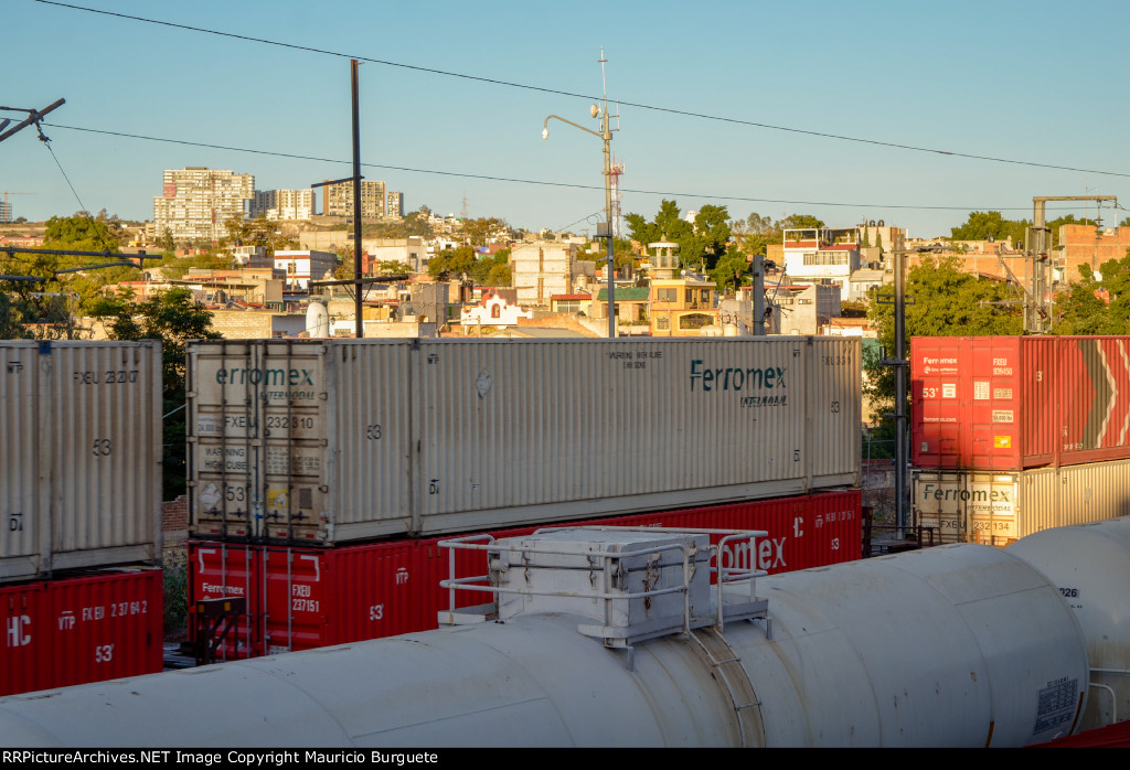 FXEU Container white scheme